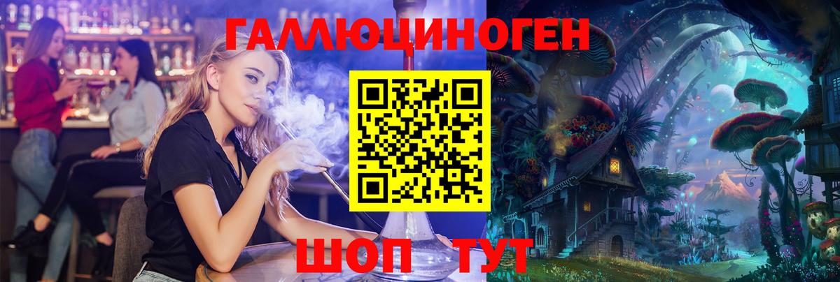Псилоцибиновые грибы Psilocybine cubensis  Вход с VPN  Новозыбков  Псилоцибиновые грибы мицелий 